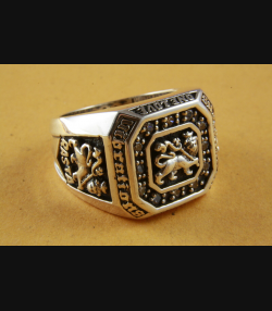 LÖWEN RING RASTA LÖWE LION ZIRKONIA STEINE SILBERRING 925 ECHT SILBER / 383